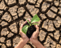 Presentan plan para proteger la salud frente a los desafíos del cambio climático